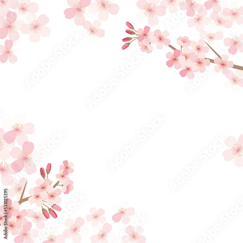 Cherry blossom flowers background frame illustration © KY