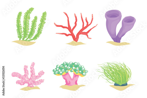 Colorful Coral as Marine Growing Flora from Ocean Bottom Vector Set