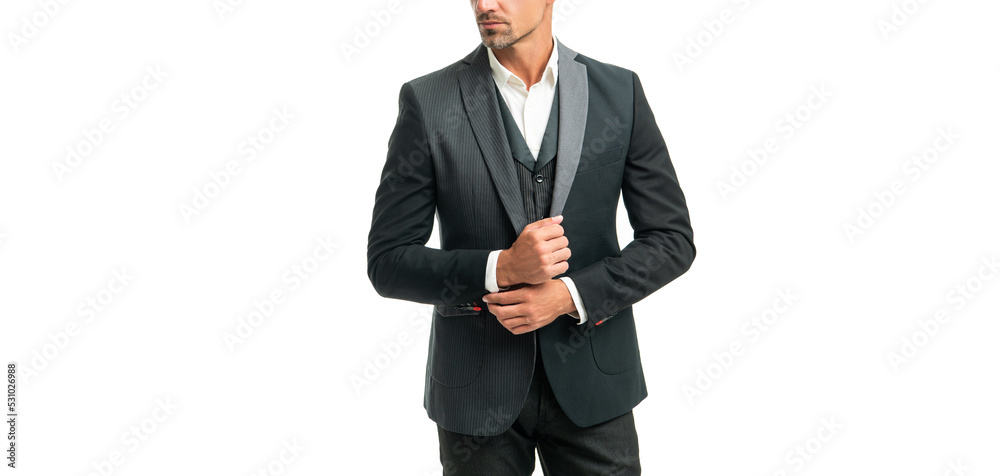 cropped grizzled gentleman in formal tuxedo isolated on white cropped grizzled gentleman in formal tuxedo isolated on white