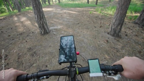 Wallpaper Mural A cyclist rides a mountain bike along the paths of a pine forest on a summer sunny day. The man's hands are holding the handlebars of a bicycle. Travel, cycling, outdoor trip, speed, sport. POV. Torontodigital.ca
