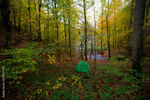 Located in the northwest of Istanbul, within the borders of Sarıyer district, Belgrad Forest is one of the largest forests and green areas of Istanbul. photo