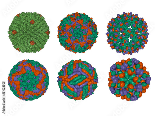 Diversity of capsid proteins structural arrangements in icosahedral viruses, 3D Gaussian models, transparent background photo
