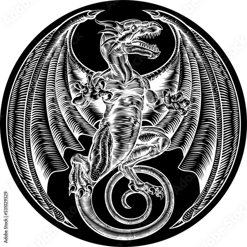 Dragon Circle Design