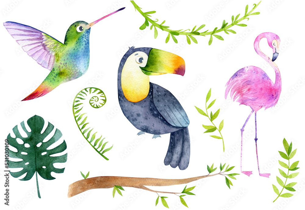 Watercolor jungle illustration, safari baby animal illustration. Flamingo,  toucan, hummingbird, wild animal graphic collection. Exotic birds and flowers