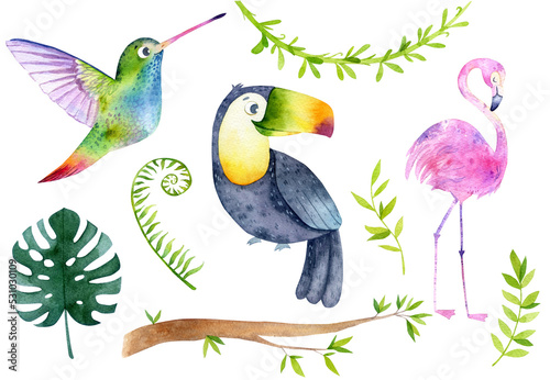Watercolor jungle illustration, safari baby animal illustration. Flamingo,  toucan, hummingbird, wild animal graphic collection. Exotic birds and flowers © NastiaVik