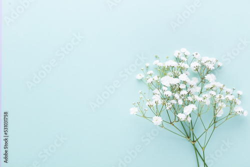 Beautiful flower background of pink gypsophila flowers. Flat lay, top view. Floral pattern. © gitusik