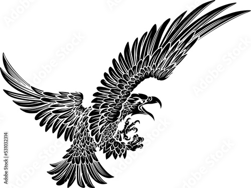Eagle Bird Swooping