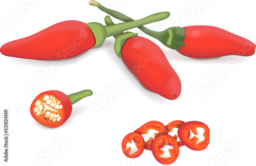 Whole, quarter, and wedges of Peri peri peppers. Peri peri peppers. Piri Piri. Piripiri. Pili pili. Bird's eye peppers. Siling labuyo. Vegetables. Vector illustration isolated on white background. photo
