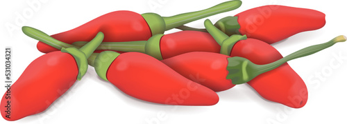 Group of Peri peri peppers. Peri peri peppers. Piri Piri. Piripiri. Pili pili. Bird's eye peppers. Siling labuyo. Fresh organic vegetables. Vector illustration isolated on white background.