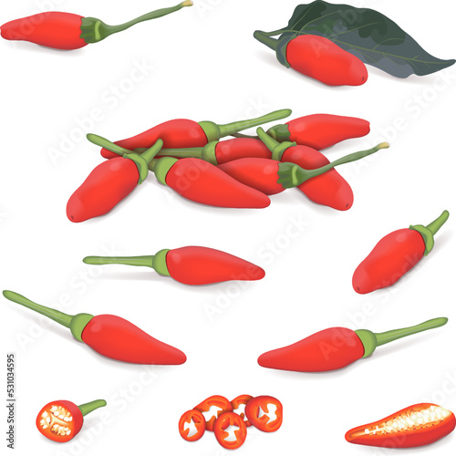 Set of Peri peri peppers. Peri peri peppers. Piri Piri. Piripiri. Pili pili. Bird's eye peppers. Siling labuyo. Fresh organic vegetables. Vector illustration isolated on white background.