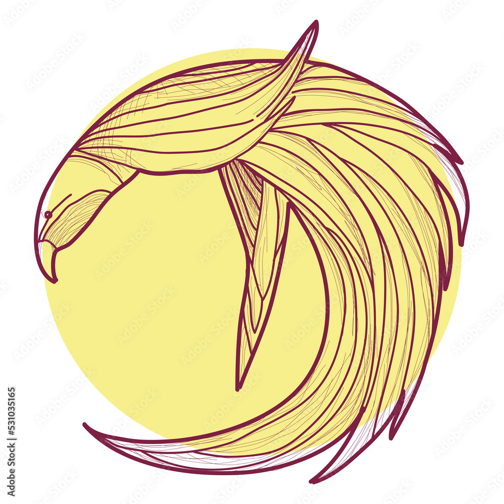 Vector illustration bird of paradise