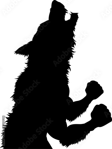 Werewolf Wolfman Halloween Silhouette photo