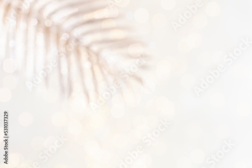 Shiny gradient background with golden palm leaf and bokeh.