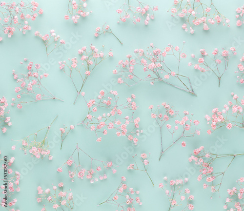 Beautiful flower background of pink gypsophila flowers. Flat lay  top view. Floral pattern.