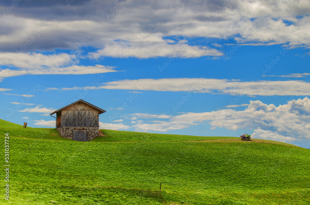 House in the meadow