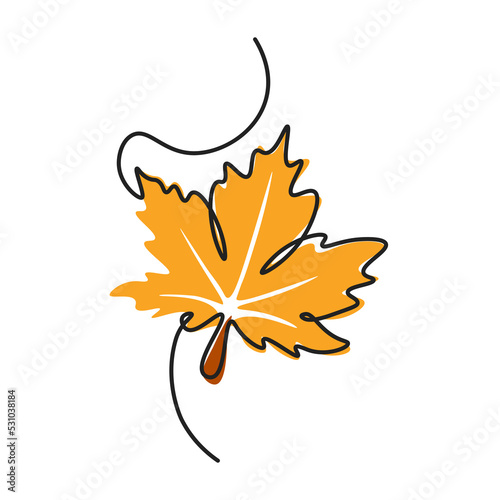 Continuous line illustration depicting a maple leaf. Botanical natural ecological concept