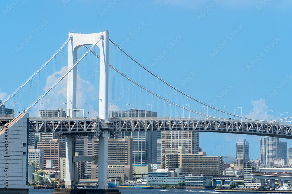 Obraz premium 東京ランドマーク レインボーブリッジ