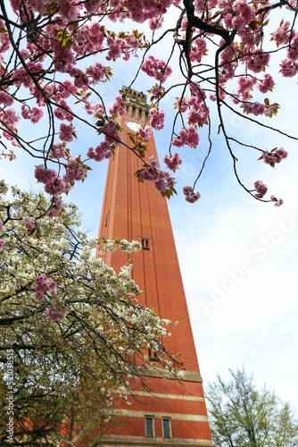 Below view of the Joseph Chamberlain memorial clock tower in Birmingham University, United Kingdom photo