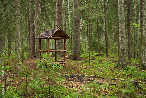 Imitation of the Sami storehouse in the Karelian forest.