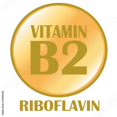 Riboflavin, Vitamin B2, Circular pictogram
