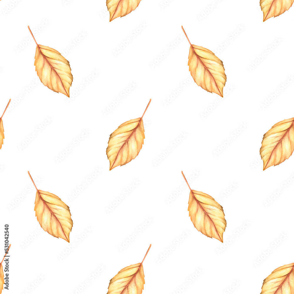 Fototapeta premium Autumn leaf seamless pattern. Watercolor vintage illustration. Isolated on a white background.