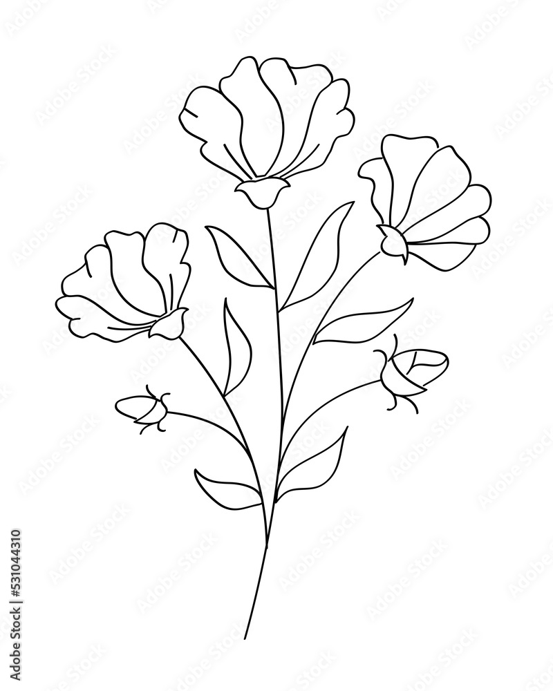Outline flower with black thin line, floral design element, decorative line art illustration. Outline flower with black thin line, floral design element, decorative line art illustration.