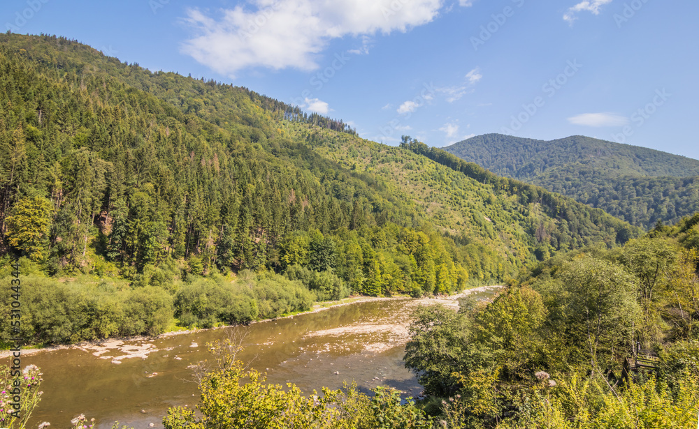 River in the summer wooded mountains on a sunny day. A small river flowing between the mountains. Green Christmas trees in the mountains and a small river. Carpathians. Ukraine. River in the summer wooded mountains on a sunny day. A small river flowing between the mountains. Green Christmas trees in the mountains and a small river. Carpathians. Ukraine.