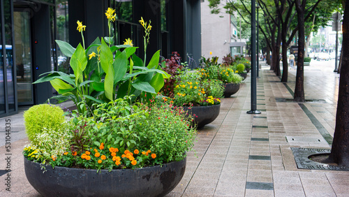 Pretty flower pots lined the roadside
