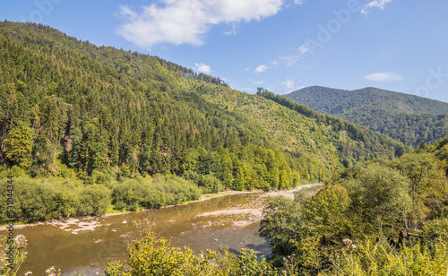 River in the summer wooded mountains on a sunny day. A small river flowing between the mountains. Green Christmas trees in the mountains and a small river. Carpathians. Ukraine.