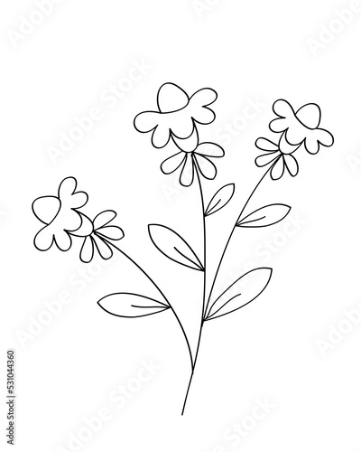 Outline flower with black thin line, floral design element, decorative line art illustration.