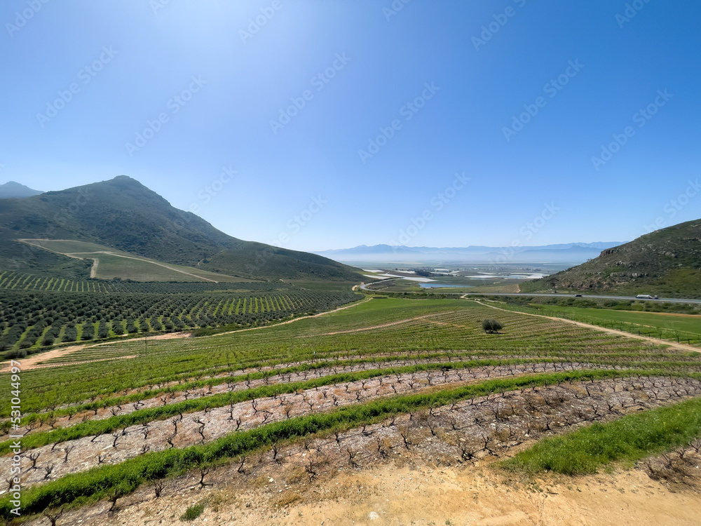 A spectacular view from a grassy hilltop over farmlands in a valley to mountain ridges on the horizon, Western Cape.