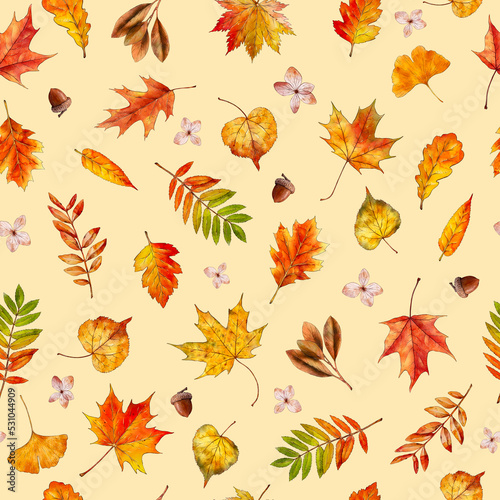 Watercolor autumn seamless pattern with falling leaves. Botanical repeated texture with floral elements for the fall season. Fall print with foliage. Natural background. Maple, oak
