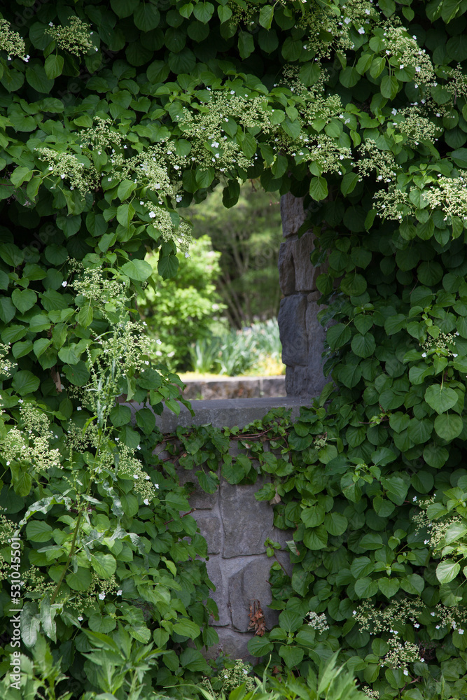 Doorway in the green Doorway in the green
