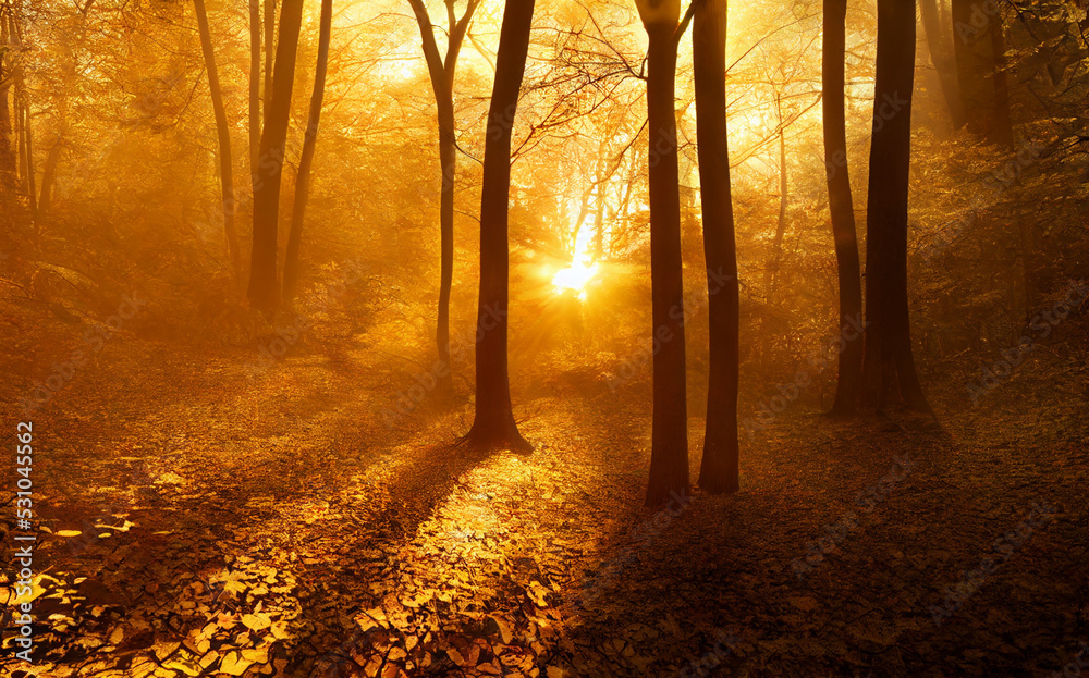Yellow fall forest at sunset, digital art