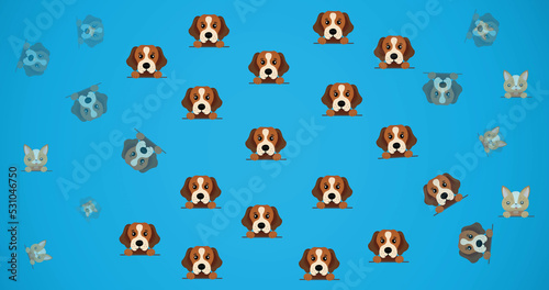 Image of cute pet cat and dog portraits repeated, on blue background