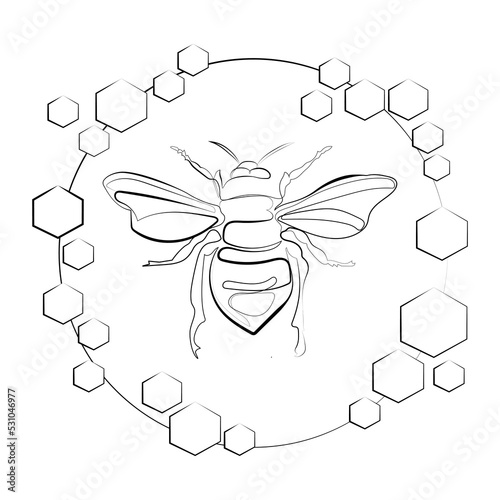 Bee single line drawing in a frame of honeycombs line art logo template,emblem,label in modern simple style vector illustration.Honey bee with honeycombs.Honeybee farm concept from wasp animal shape