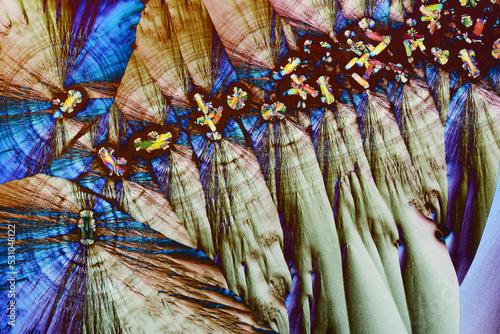 Colorful micro crystals in polarized light. Photo through a micr