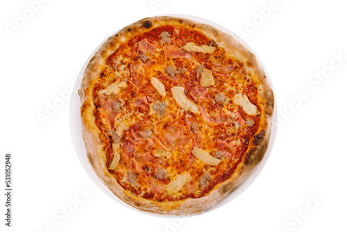 Pizza Meat isolated on white background
