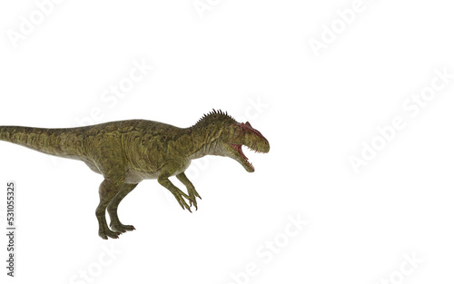 Dinosaur allosaurus on white background