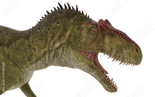 Fototapeta Naklejka Na Ścianę i Meble -  Dinosaur allosaurus on white background