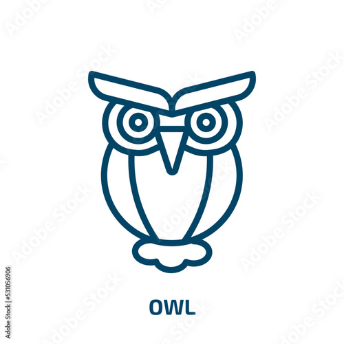 owl icon from education collection. Thin linear owl, bird, nature outline icon isolated on white background. Line vector owl sign, symbol for web and mobile