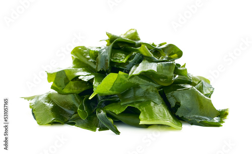 Laminaria Kelp Seaweed Isolated on White Background. fresh Laminaria or kelp Seaweed Isolated on White Background. konbu, alga                        