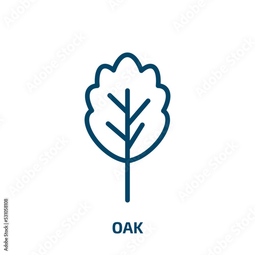 oak icon from nature collection. Thin linear oak, eco, ecology outline icon isolated on white background. Line vector oak sign, symbol for web and mobile