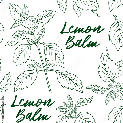 stock vector melissa lemon balm seamless pattern hand drawn illustration