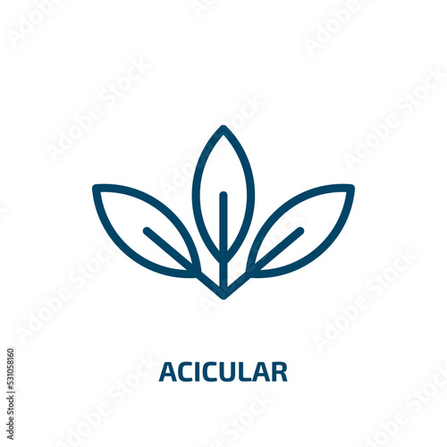 acicular icon from nature collection. Thin linear acicular, nature, tree outline icon isolated on white background. Line vector acicular sign, symbol for web and mobile