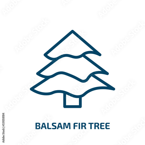 balsam fir tree icon from nature collection. Thin linear balsam fir tree, fir, natural outline icon isolated on white background. Line vector balsam fir tree sign, symbol for web and mobile