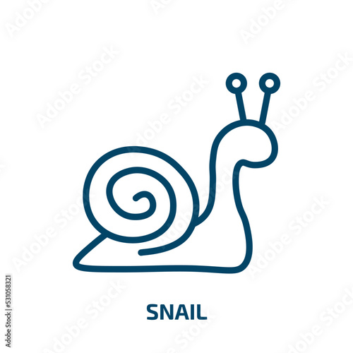 snail icon from nature collection. Thin linear snail, marine, spiral outline icon isolated on white background. Line vector snail sign, symbol for web and mobile