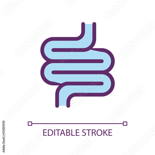 Intestine pixel perfect RGB color ui icon. Bowel checkup. Gastrointestinal tract. Simple filled line element. GUI, UX design for mobile app. Vector isolated pictogram. Editable stroke. Arial font used