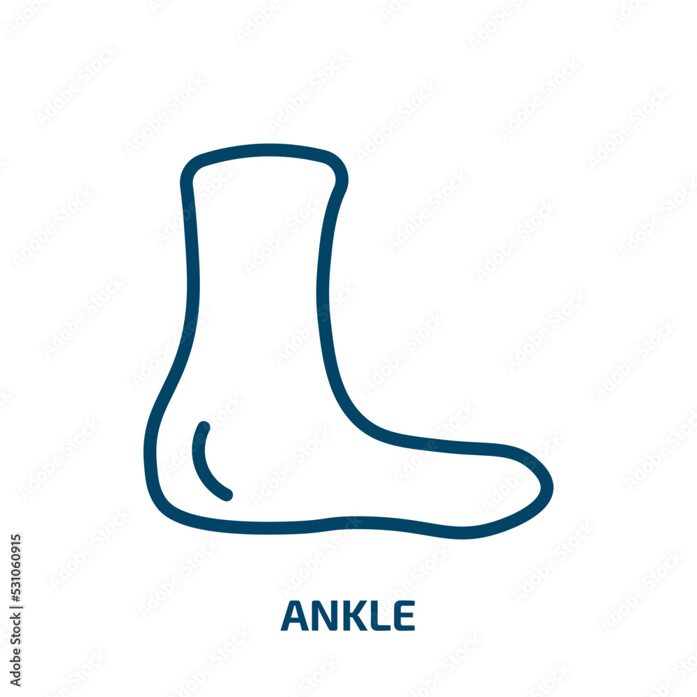 ankle icon from sports collection. Thin linear ankle, leg, human outline icon isolated on white background. Line vector ankle sign, symbol for web and mobile ankle icon from sports collection. Thin linear ankle, leg, human outline icon isolated on white background. Line vector ankle sign, symbol for web and mobile
