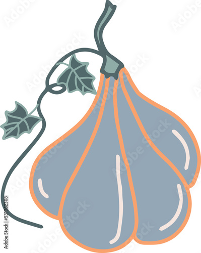 pumpkin vegetable vector hand drawn illustration seasonal autumn harvest